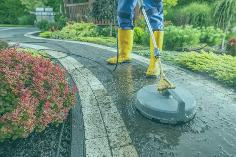 NDIS Gardening Cleaning Services Bald Hills
