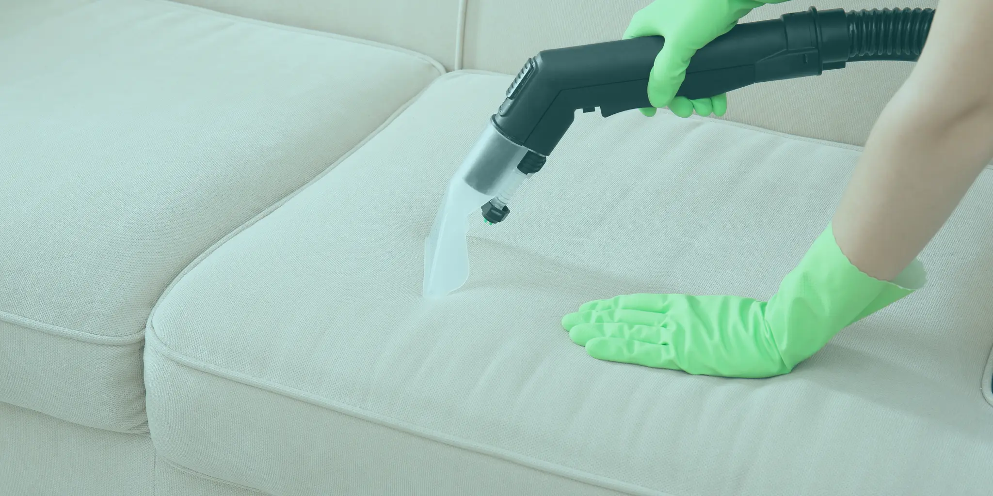 NDIS Upholstery Cleaning Services Bald Hills